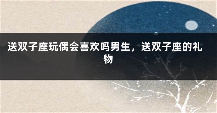 送双子座玩偶会喜欢吗男生，送双子座的礼物