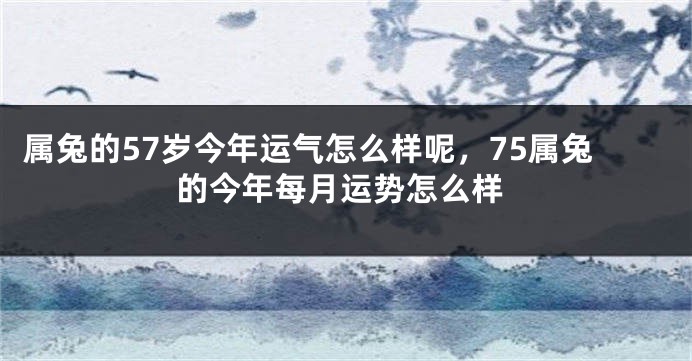 属兔的57岁今年运气怎么样呢，75属兔的今年每月运势怎么样
