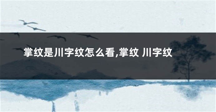 掌纹是川字纹怎么看,掌纹 川字纹