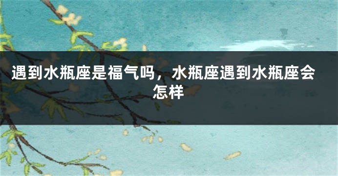 遇到水瓶座是福气吗，水瓶座遇到水瓶座会怎样