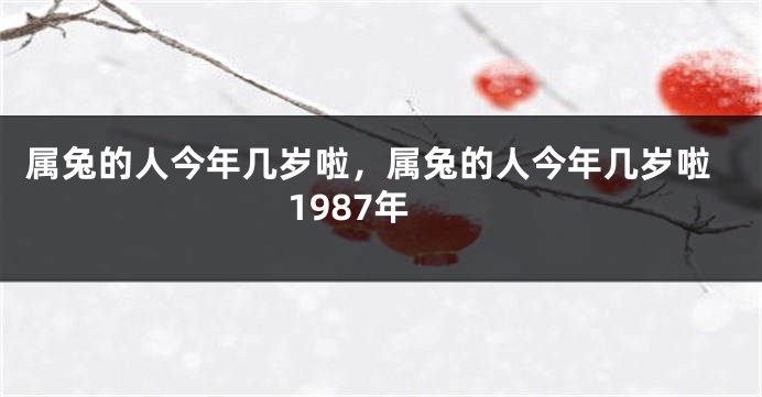 属兔的人今年几岁啦，属兔的人今年几岁啦1987年