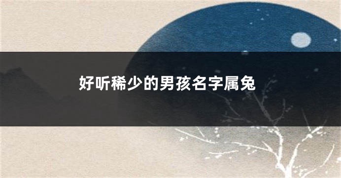 好听稀少的男孩名字属兔