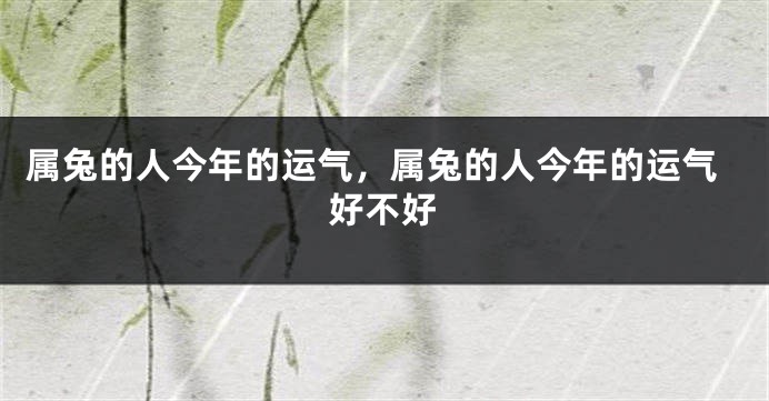 属兔的人今年的运气，属兔的人今年的运气好不好