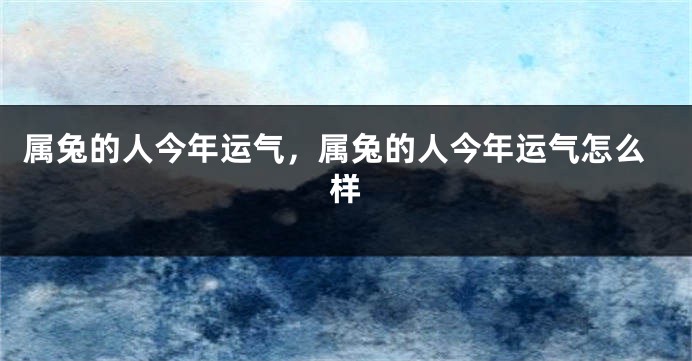 属兔的人今年运气，属兔的人今年运气怎么样