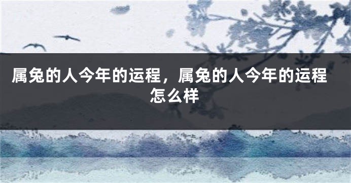 属兔的人今年的运程，属兔的人今年的运程怎么样