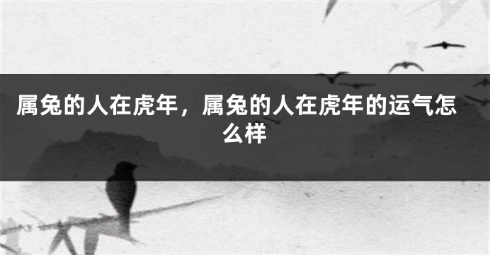 属兔的人在虎年，属兔的人在虎年的运气怎么样