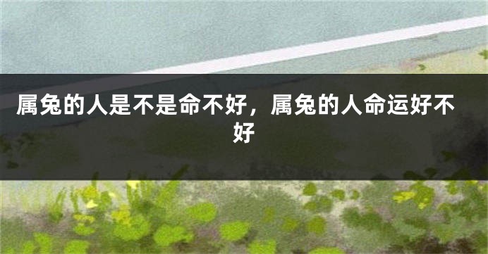 属兔的人是不是命不好，属兔的人命运好不好