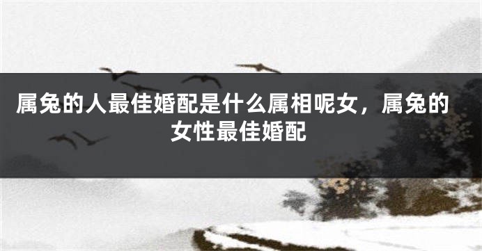 属兔的人最佳婚配是什么属相呢女，属兔的女性最佳婚配