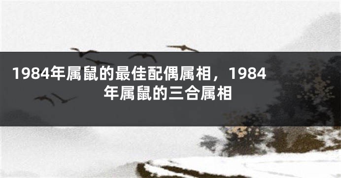 1984年属鼠的最佳配偶属相，1984年属鼠的三合属相