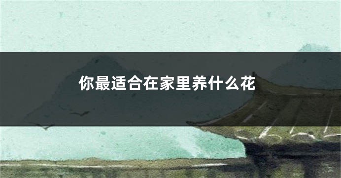 你最适合在家里养什么花
