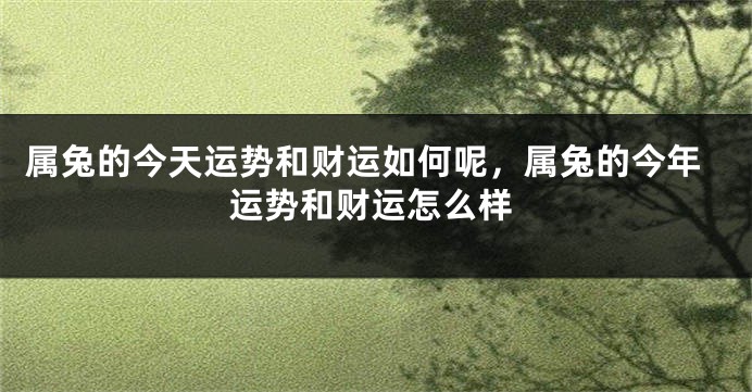 属兔的今天运势和财运如何呢,属兔的今年运势和财运怎么样