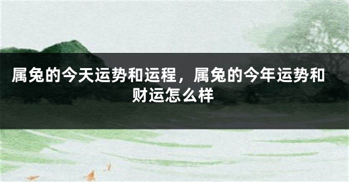 属兔的今天运势和运程,属兔的今年运势和财运怎么样