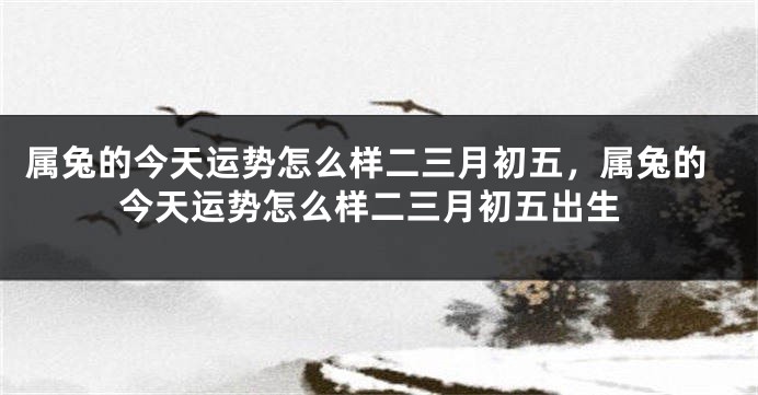 属兔的今天运势怎么样二三月初五，属兔的今天运势怎么样二三月初五出生