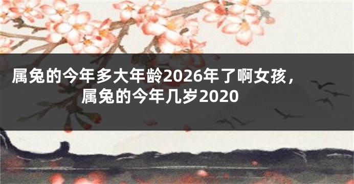 属兔的今年多大年龄2026年了啊女孩,属兔的今年几岁2020