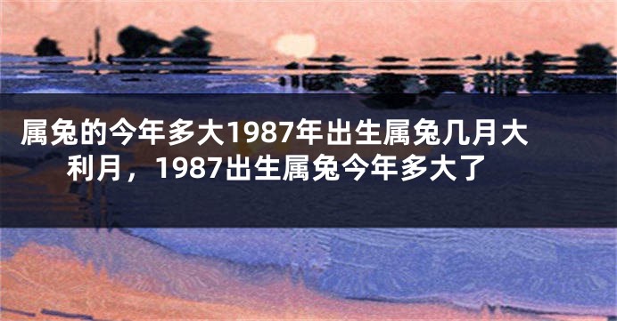 属兔的今年多大1987年出生属兔几月大利月,1987出生属兔今年多大了