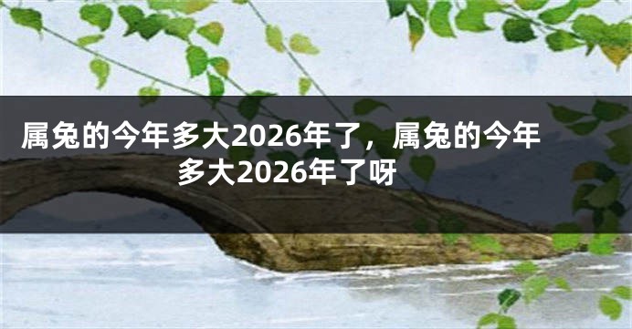 属兔的今年多大2026年了，属兔的今年多大2026年了呀