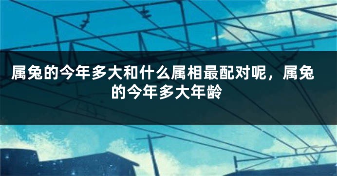 属兔的今年多大和什么属相最配对呢,属兔的今年多大年龄