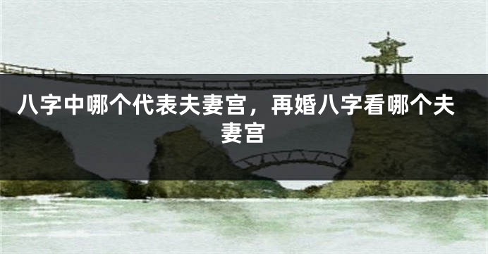 八字中哪个代表夫妻宫,再婚八字看哪个夫妻宫