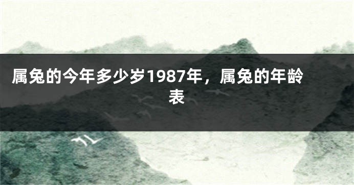 属兔的今年多少岁1987年，属兔的年龄表