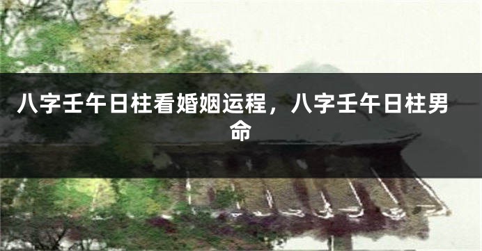 八字壬午日柱看婚姻运程，八字壬午日柱男命