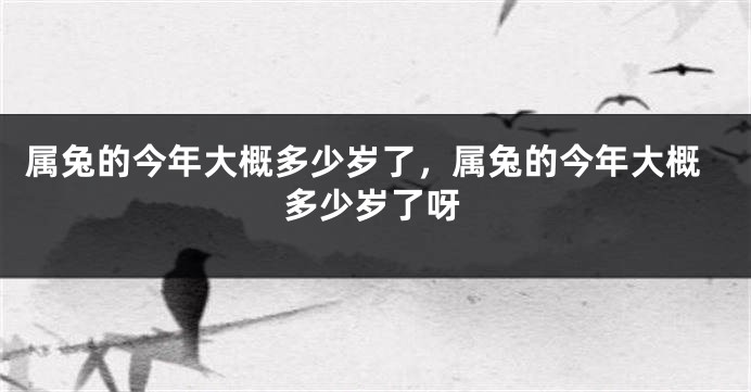 属兔的今年大概多少岁了，属兔的今年大概多少岁了呀