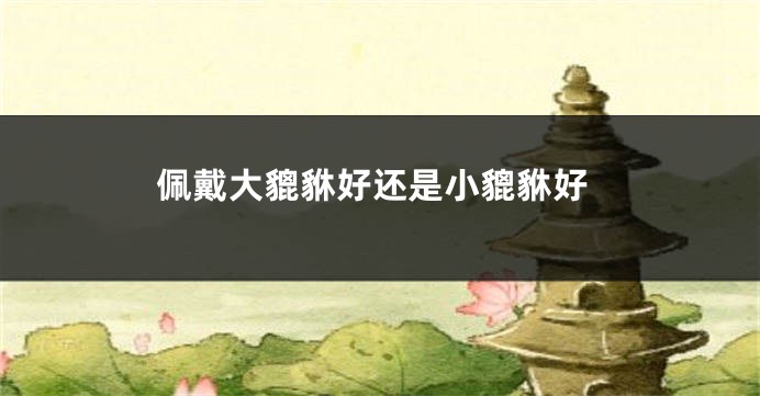 佩戴大貔貅好还是小貔貅好