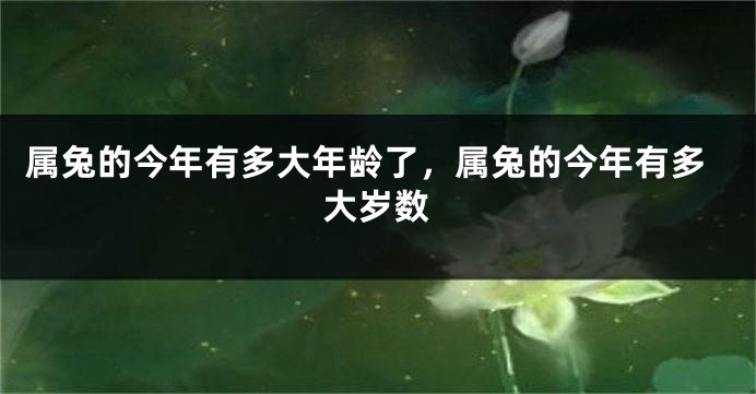 属兔的今年有多大年龄了,属兔的今年有多大岁数