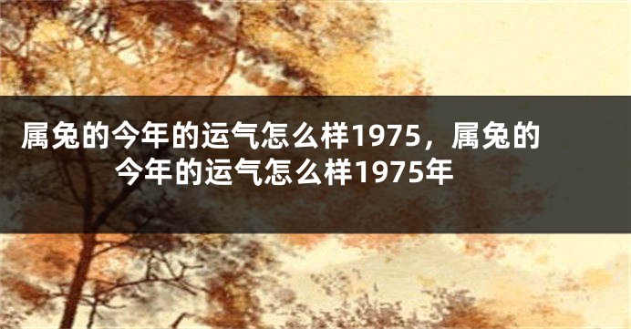 属兔的今年的运气怎么样1975，属兔的今年的运气怎么样1975年