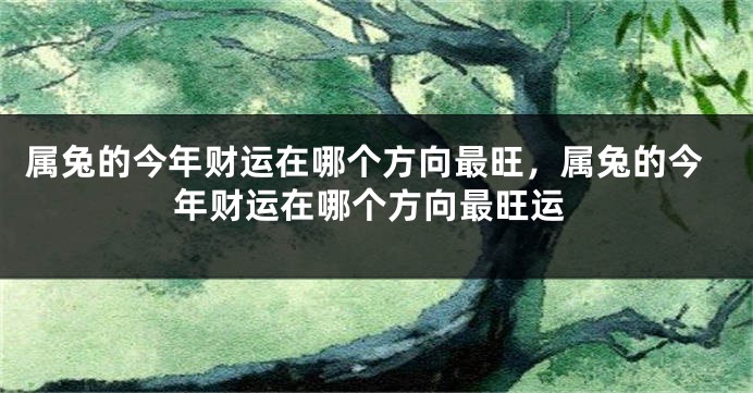 属兔的今年财运在哪个方向最旺，属兔的今年财运在哪个方向最旺运