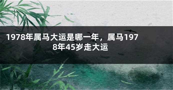 1978年属马大运是哪一年，属马1978年45岁走大运
