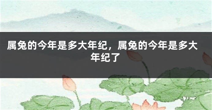 属兔的今年是多大年纪,属兔的今年是多大年纪了
