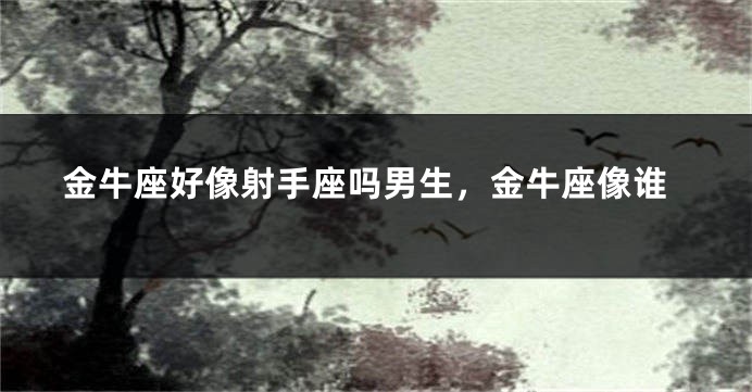 金牛座好像射手座吗男生,金牛座像谁