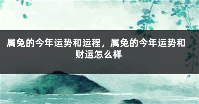 属兔的今年运势和运程,属兔的今年运势和财运怎么样