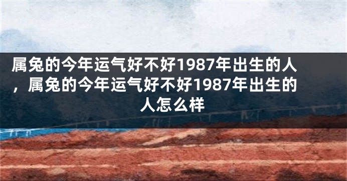 属兔的今年运气好不好1987年出生的人,属兔的今年运气好不好1987年出生的人怎么样