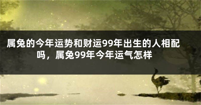 属兔的今年运势和财运99年出生的人相配吗，属兔99年今年运气怎样