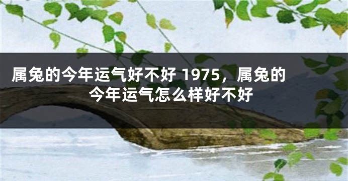 属兔的今年运气好不好 1975,属兔的今年运气怎么样好不好