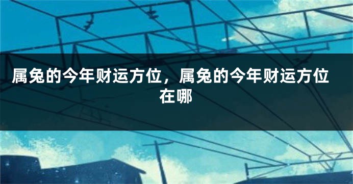 属兔的今年财运方位，属兔的今年财运方位在哪