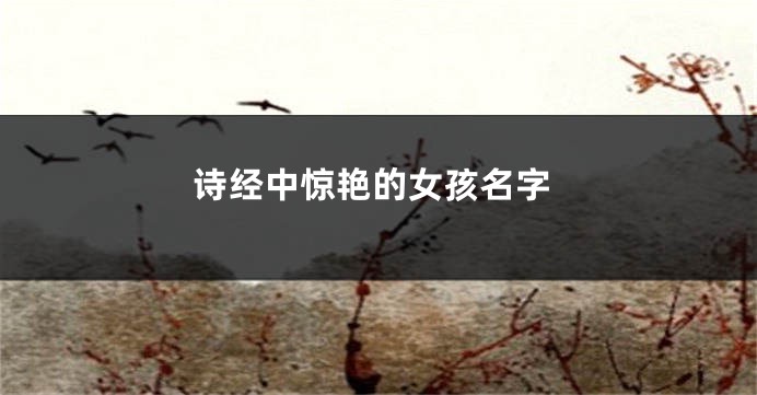 诗经中惊艳的女孩名字