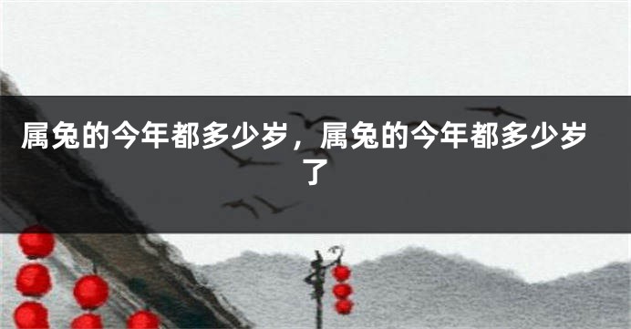 属兔的今年都多少岁,属兔的今年都多少岁了