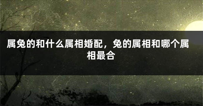 属兔的和什么属相婚配，兔的属相和哪个属相最合