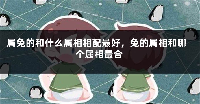 属兔的和什么属相相配最好，兔的属相和哪个属相最合