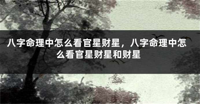 八字命理中怎么看官星财星，八字命理中怎么看官星财星和财星