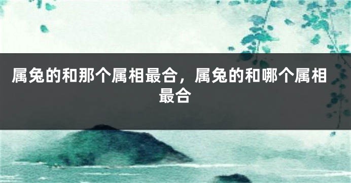 属兔的和那个属相最合，属兔的和哪个属相最合
