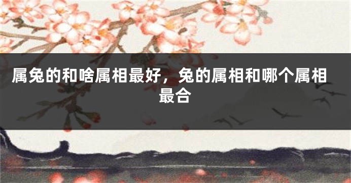 属兔的和啥属相最好,兔的属相和哪个属相最合