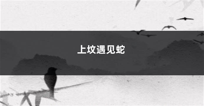 上坟遇见蛇
