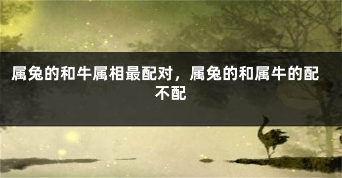 属兔的和牛属相最配对,属兔的和属牛的配不配