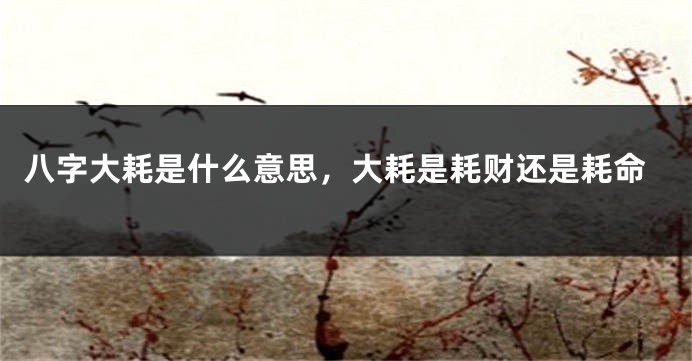八字大耗是什么意思，大耗是耗财还是耗命