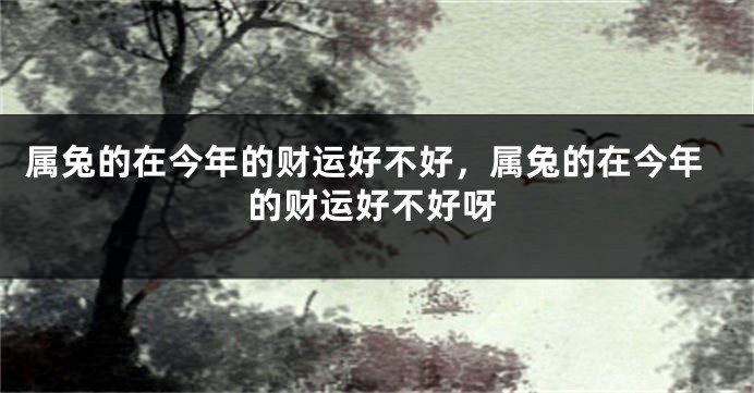 属兔的在今年的财运好不好，属兔的在今年的财运好不好呀