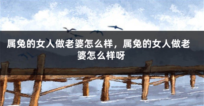 属兔的女人做老婆怎么样，属兔的女人做老婆怎么样呀