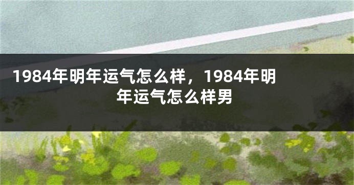 1984年明年运气怎么样，1984年明年运气怎么样男